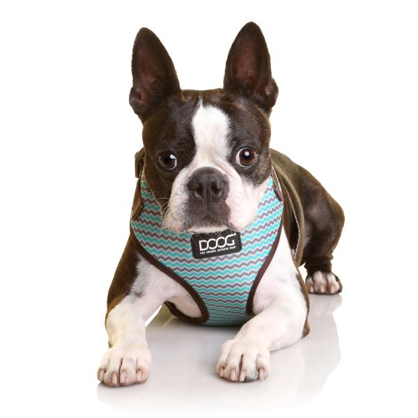 DOOG Neoflex Harness BENJI Gr. M